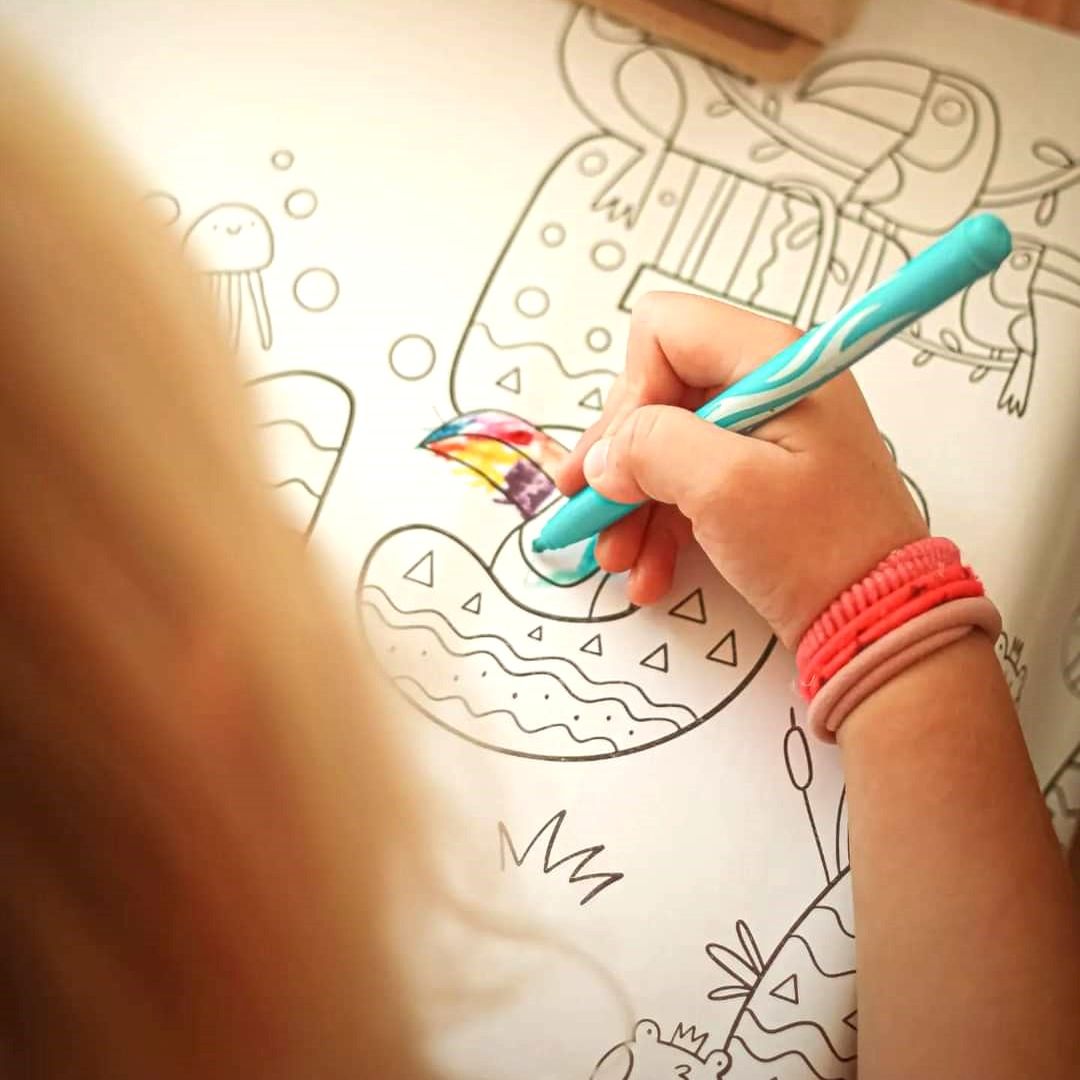 MEGA bojanke 5 m – ROLL & COLOR